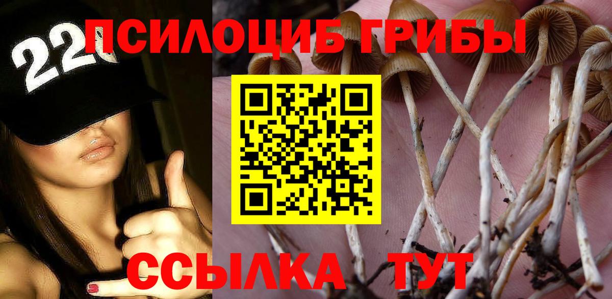 Галлюциногенные грибы Psilocybe Уварово